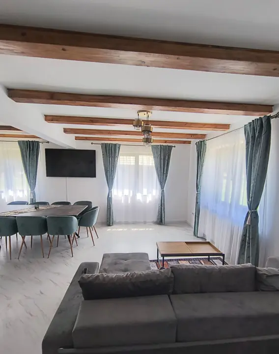 Living cu canapea și TV